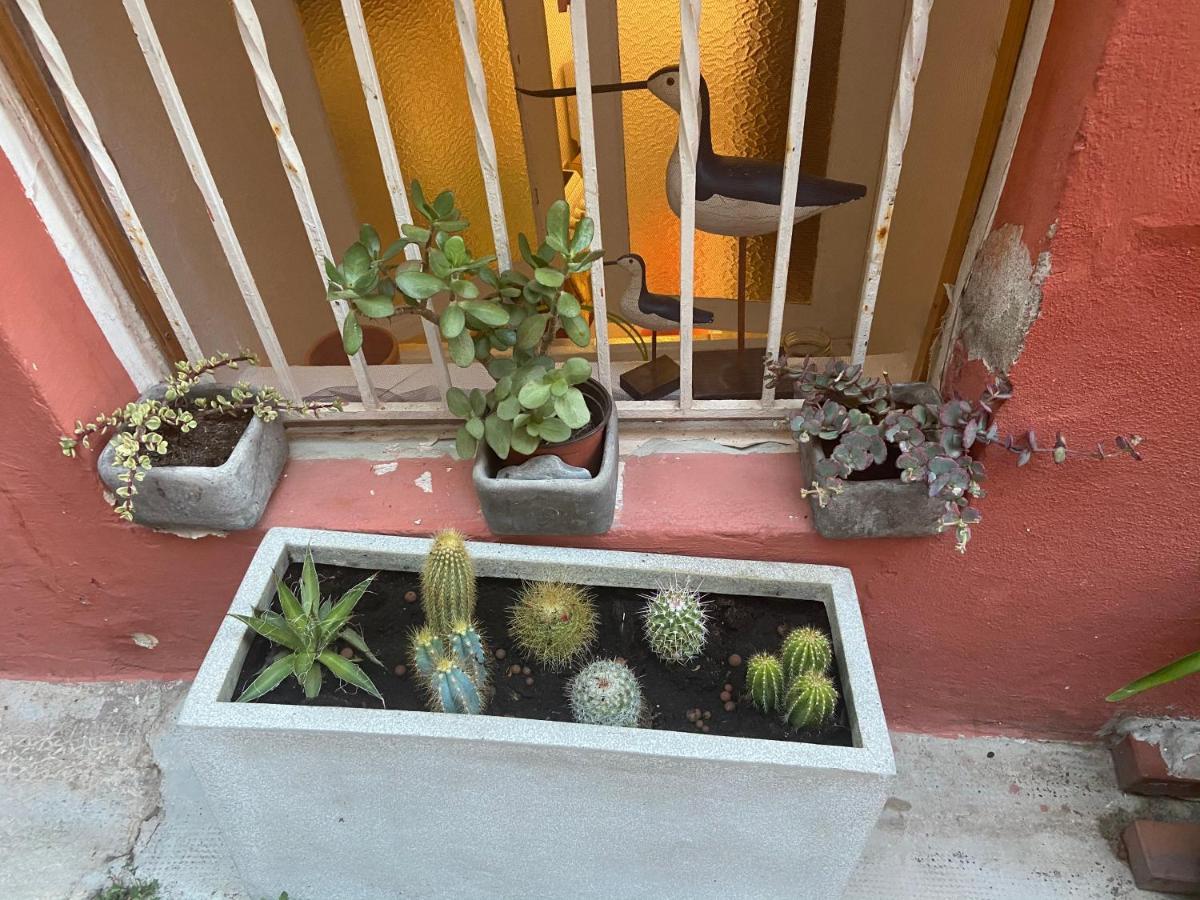 Joli Appart 29M2 En Vieille Ville Menton 2 Mins De La Mer エクステリア 写真